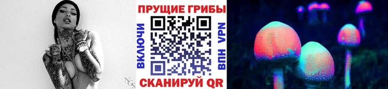 Псилоцибиновые грибы GOLDEN TEACHER  МЕГА ссылка  Кизляр 