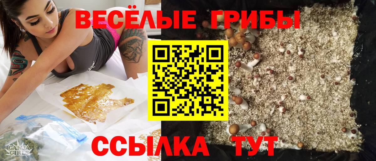Галлюциногенные грибы Magic Shrooms Кизляр