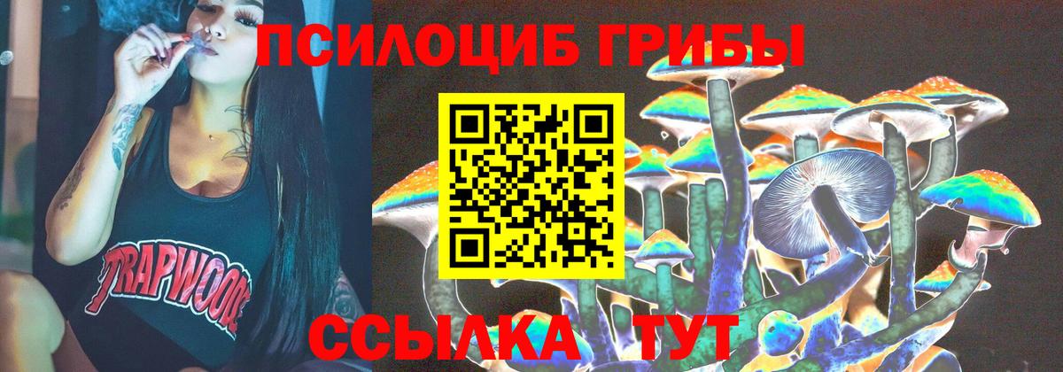 Псилоцибиновые грибы MAGIC MUSHROOMS  Вход с VPN  Кизляр 